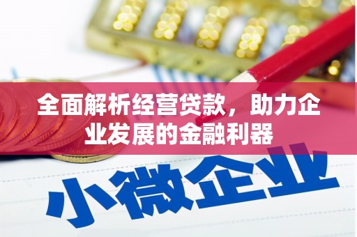 江都全面解析经营贷款，助力企业发展的金融利器
