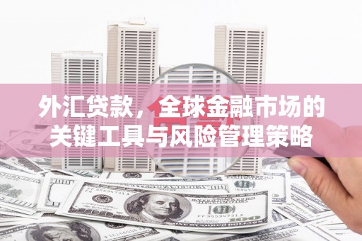 江都外汇贷款，全球金融市场的关键工具与风险管理策略