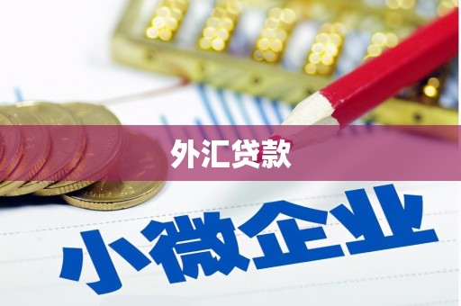 江都外汇贷款