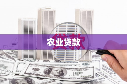 江都农业贷款
