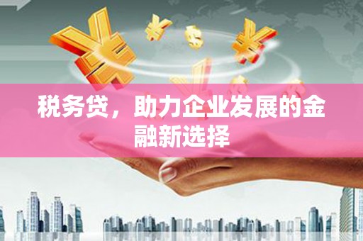 江都税务贷，助力企业发展的金融新选择