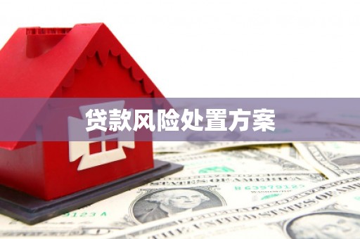 江都贷款风险处置方案