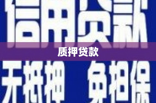 江都质押贷款
