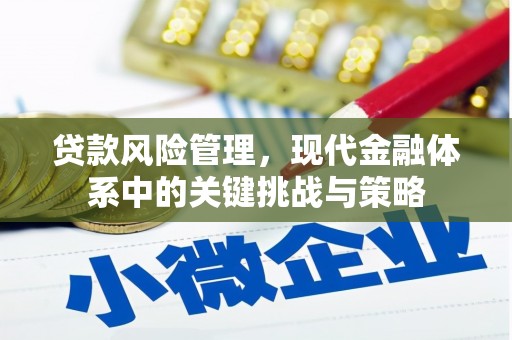 江都贷款风险管理，现代金融体系中的关键挑战与策略