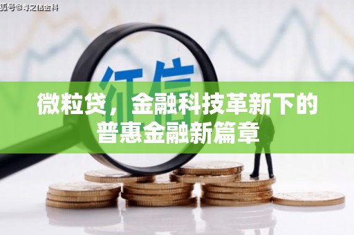 江都微粒贷，金融科技革新下的普惠金融新篇章
