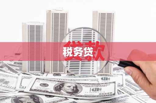 江都税务贷