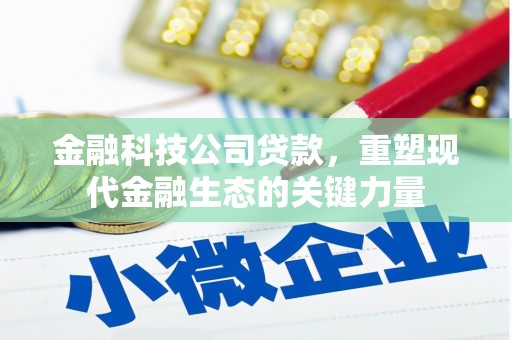 江都金融科技公司贷款，重塑现代金融生态的关键力量