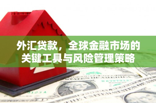 江都外汇贷款，全球金融市场的关键工具与风险管理策略