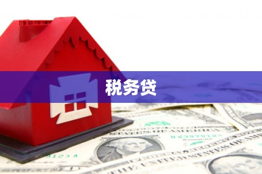 江都税务贷