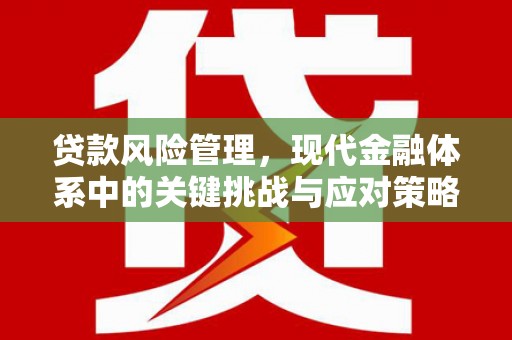 江都贷款风险管理，现代金融体系中的关键挑战与应对策略