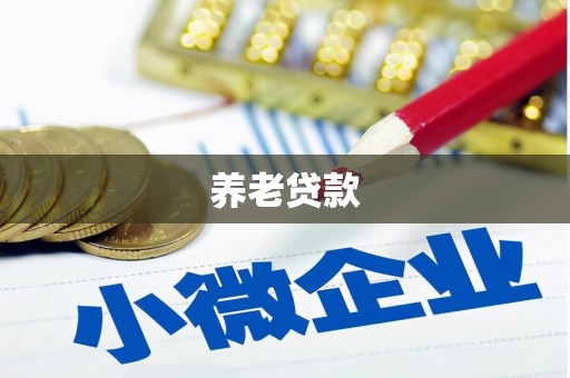 江都养老贷款